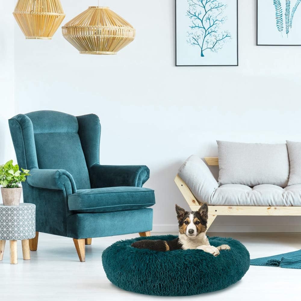 image:imageSlowTon Calming Dog Bed for Small Dogs Cats Donut Cuddler Cozy Warm AntiAnxiety Dog Cat Cushion Mat Ultra Soft Fluffy Plush Round Pet Pillow NonSlip Bottom Machine WashableTealXSmall 20