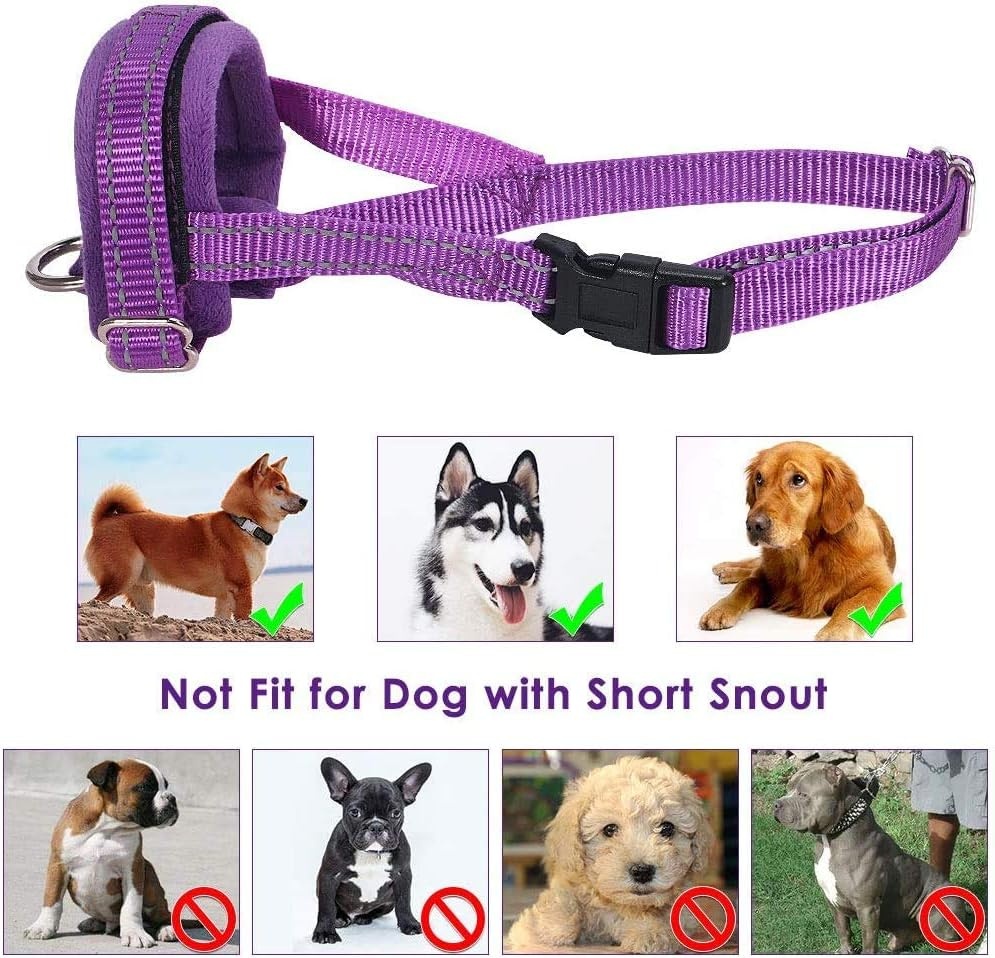 image:imageSlowTon Soft Dog Muzzle Adjustable Padded Nylon Muzzle for Large Medium Dogs Anti Chewing Barking Biting Allow Dog Pant amp Drink Black LPurple