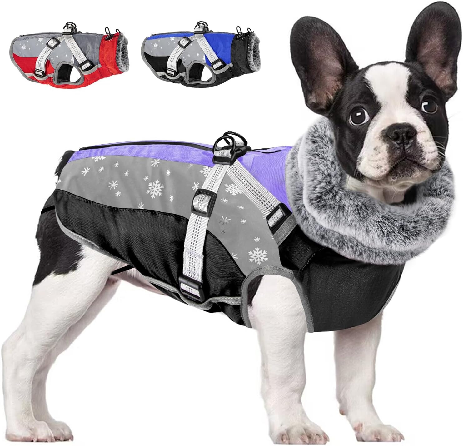 image:imageSlowTon Dog Jacket with Harness Built in Waterproof Fleece Winter Warm Dog Coats for Small Medium Dogs Reflective Adjustable Furry Puppy Vest Clothes for Outdoor Walking BlueSPurple Black