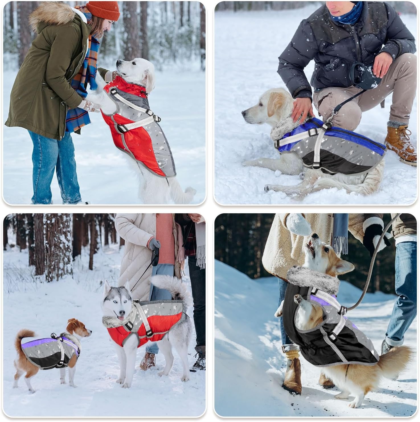 image:imageSlowTon Dog Jacket with Harness Built in Waterproof Fleece Winter Warm Dog Coats for Small Medium Dogs Reflective Adjustable Furry Puppy Vest Clothes for Outdoor Walking BlueSBlue Black