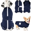 2.Dark Blue