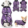 2.Purple Leopard