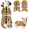 3.Yellow Leopard