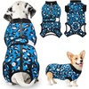 3.Blue Leopard