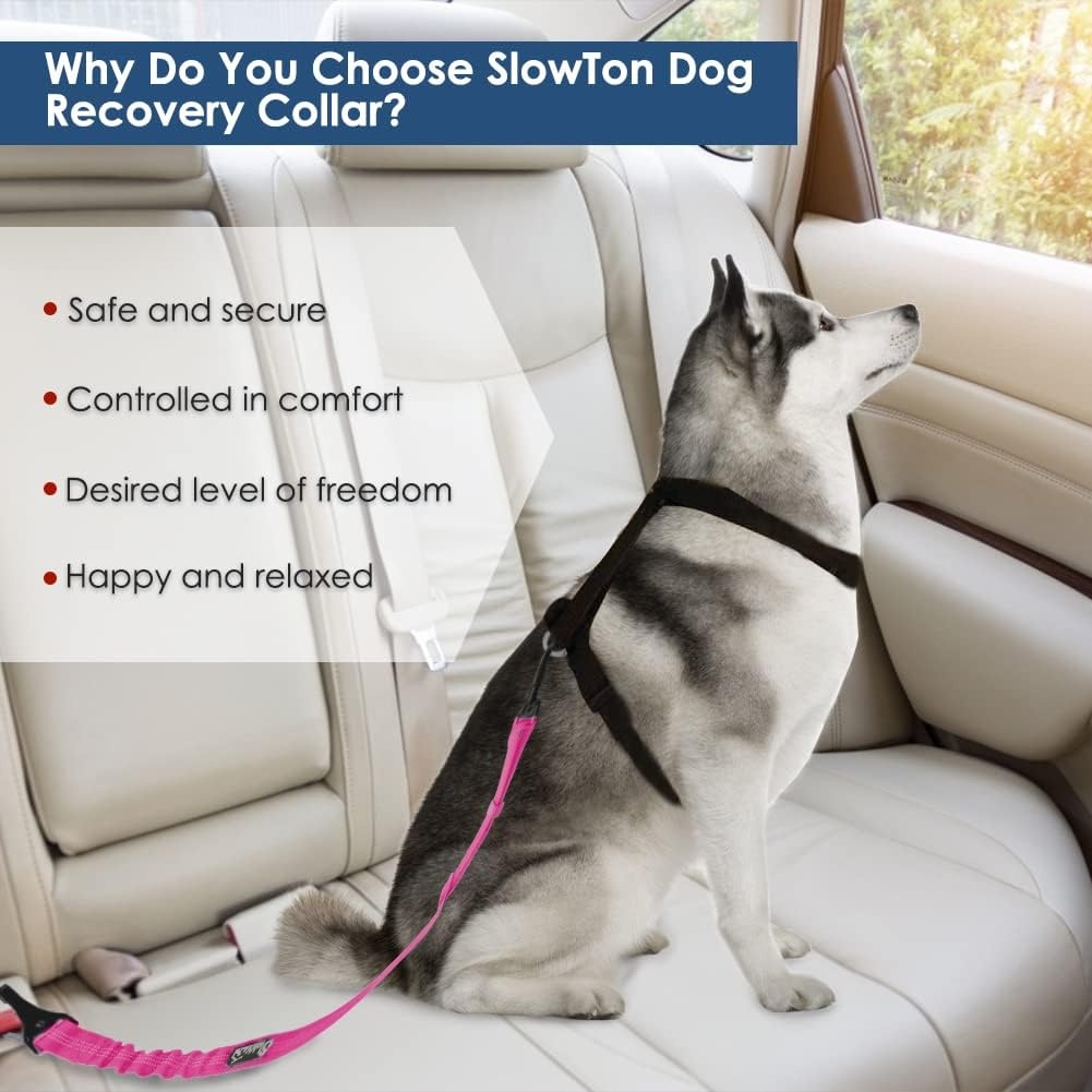 image:imageSlowTon Dog Seat Belt Adjustable Dog Safety Belt Leash 2 in 1 Latch Bar Attachment Dogs Car Seatbelt with Elastic Nylon Bungee Buffer Reflective Nylon Belt Tether Connect to Dog Harness BlueFluorescence Pink