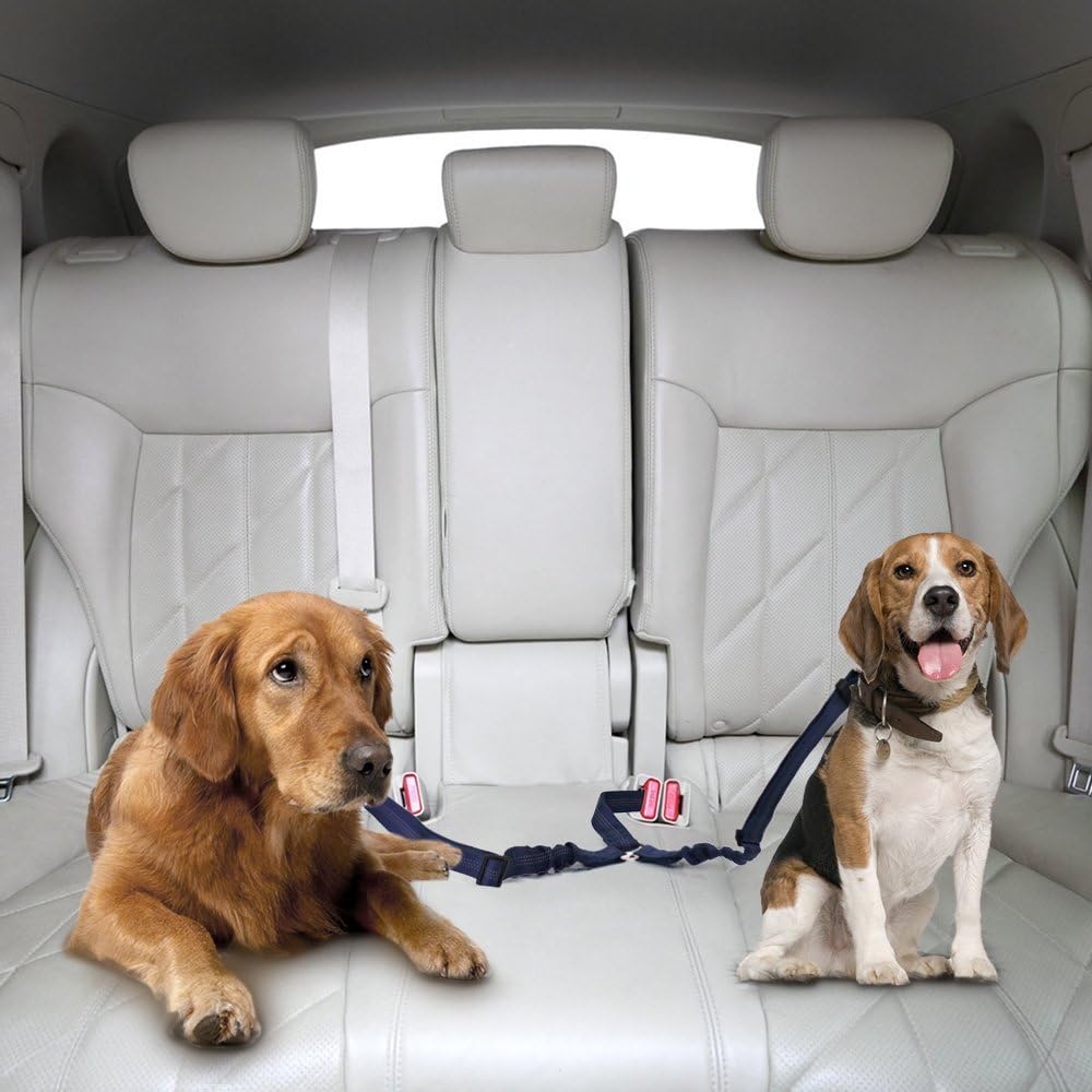 image:imageSlowTon Dog Seat Belt Double Dog Seatbelt Adjustable Vehicle Safety Leash with Elastic Bungee Buffer Reflective No Tangle Y Shape Two Dog Harness Seat Belt Splitter for Pets Car Trip Black SKBlue