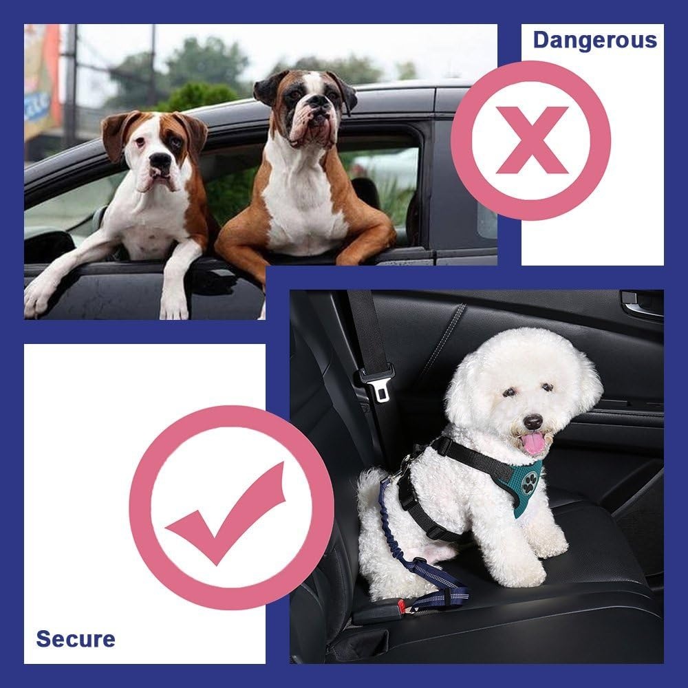 image:imageSlowTon Dog Seat Belt Double Dog Seatbelt Adjustable Vehicle Safety Leash with Elastic Bungee Buffer Reflective No Tangle Y Shape Two Dog Harness Seat Belt Splitter for Pets Car Trip Black SKBlue