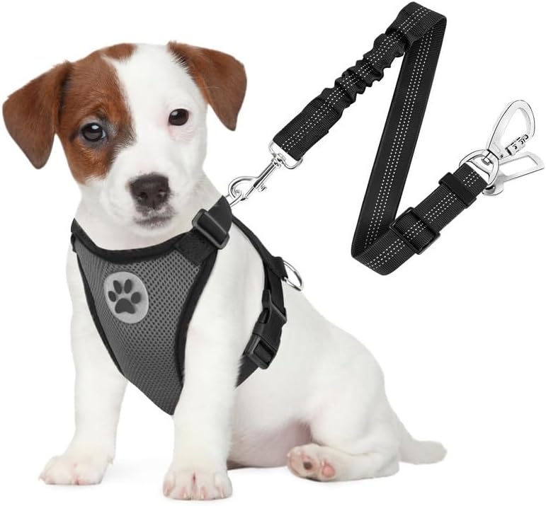 image:imageSlowTon Dog Seat Belt Harness for Car Dog Car Harness Adjustable Mesh Breathable amp Dog Seatbelt Safety Tether with Elastic Bungee for Small Medium Large PetsBlack Double Clip MNGrey