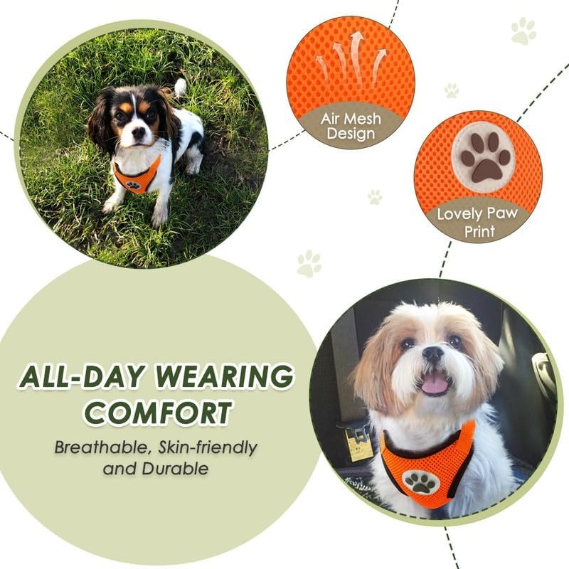 image:imageSlowTon Dog Seat Belt Harness for Car Dog Car Harness Adjustable Mesh Breathable amp Dog Seatbelt Safety Tether with Elastic Bungee for Small Medium Large PetsBlack Double Clip MOOrange