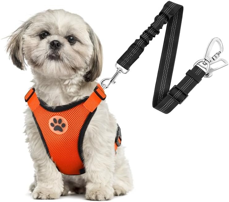 image:imageSlowTon Dog Seat Belt Harness for Car Dog Car Harness Adjustable Mesh Breathable amp Dog Seatbelt Safety Tether with Elastic Bungee for Small Medium Large PetsBlack Double Clip MOOrange