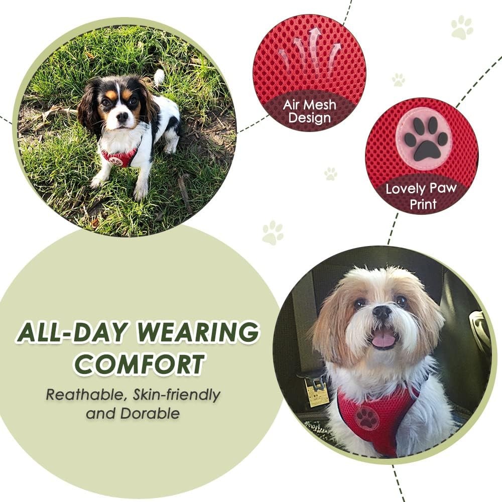 image:imageSlowTon Dog Seat Belt Harness for Car Dog Car Harness Adjustable Mesh Breathable amp Dog Seatbelt Safety Tether with Elastic Bungee for Small Medium Large PetsBlack Double Clip MBRed