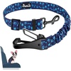Blue Dog Paw