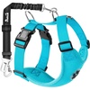 D-Light Blue