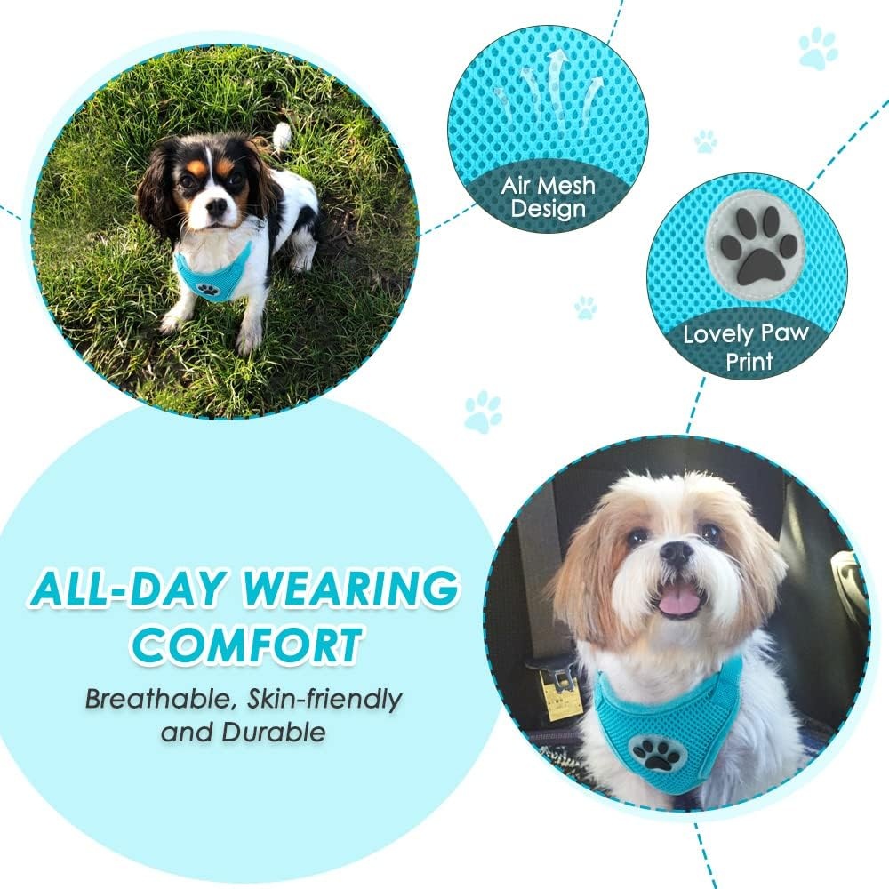 image:imageSlowTon Dog Seat Belt Harness for Car Dog Car Harness Adjustable Mesh Breathable amp Dog Seatbelt Safety Tether with Elastic Bungee for Small Medium Large PetsBlack Double Clip XXXSDLight Blue
