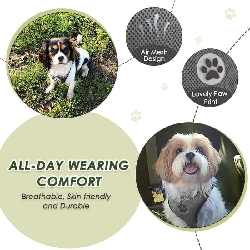 image:imageSlowTon Dog Seat Belt Harness for Car Dog Car Harness Adjustable Mesh Breathable amp Dog Seatbelt Safety Tether with Elastic Bungee for Small Medium Large PetsBlack Double Clip XXXSNGrey
