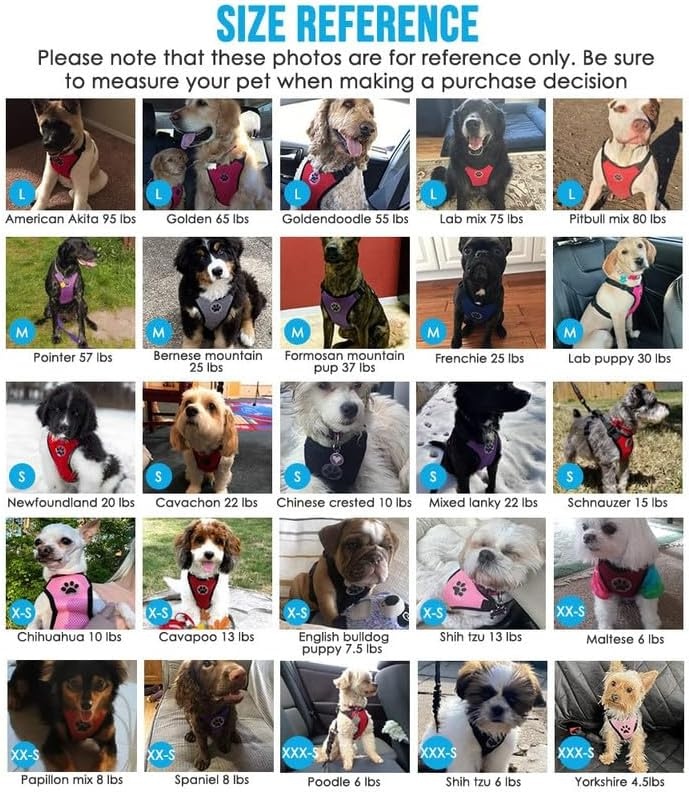 image:imageSlowTon Dog Seat Belt Harness for Car Dog Car Harness Adjustable Mesh Breathable amp Dog Seatbelt Safety Tether with Elastic Bungee for Small Medium Large PetsBlack Double Clip XXXSLBlue