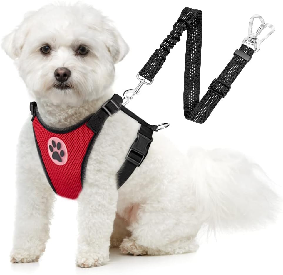 image:imageSlowTon Dog Seat Belt Harness for Car Dog Car Harness Adjustable Mesh Breathable amp Dog Seatbelt Safety Tether with Elastic Bungee for Small Medium Large PetsBlack Double Clip XXXSBRed