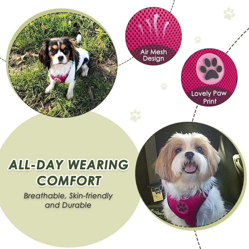 image:imageSlowTon Dog Seat Belt Harness for Car Dog Car Harness Adjustable Mesh Breathable amp Dog Seatbelt Safety Tether with Elastic Bungee for Small Medium Large PetsBlack Double Clip XXXSCFuchsia