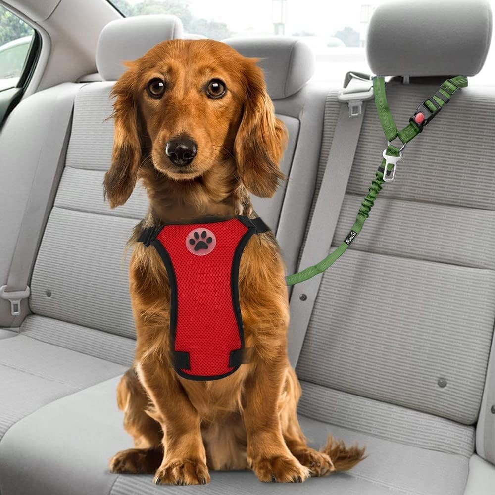 image:imageSlowTon Dog Seat Belt for Car 2 Pack Dog Car Harness Seatbelt Adjustable with Elastic Bungee Buffer 2 in 1 Pet Car Leash Headrest Restraint Dog Reflective Safety Tether Green HeadrestClipHGreen