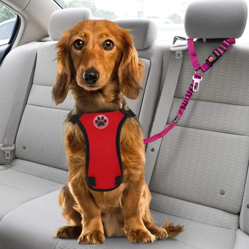 image:imageSlowTon Dog Seat Belt for Car 2 Pack Dog Car Harness Seatbelt Adjustable with Elastic Bungee Buffer 2 in 1 Pet Car Leash Headrest Restraint Dog Reflective Safety Tether Green HeadrestClipIFushia