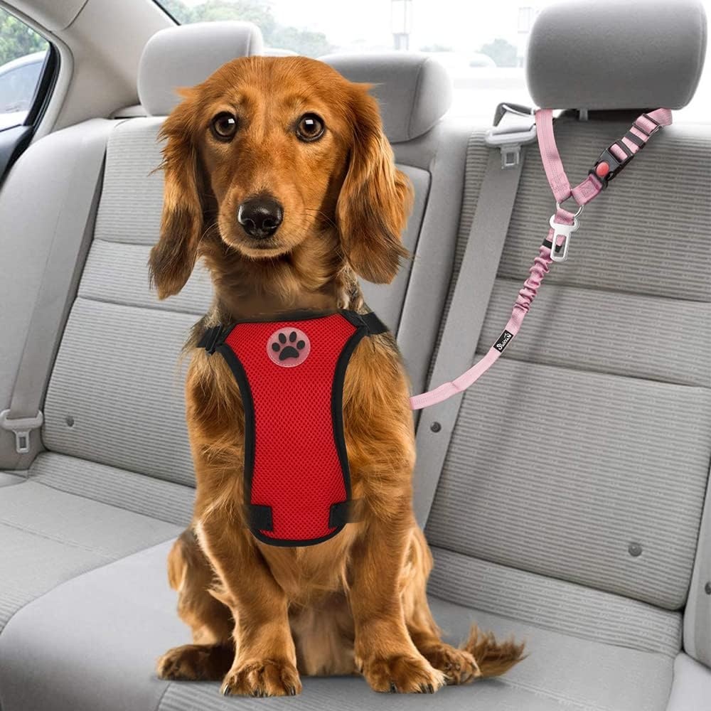 image:imageSlowTon Dog Seat Belt for Car 2 Pack Dog Car Harness Seatbelt Adjustable with Elastic Bungee Buffer 2 in 1 Pet Car Leash Headrest Restraint Dog Reflective Safety Tether Green HeadrestClipIPink