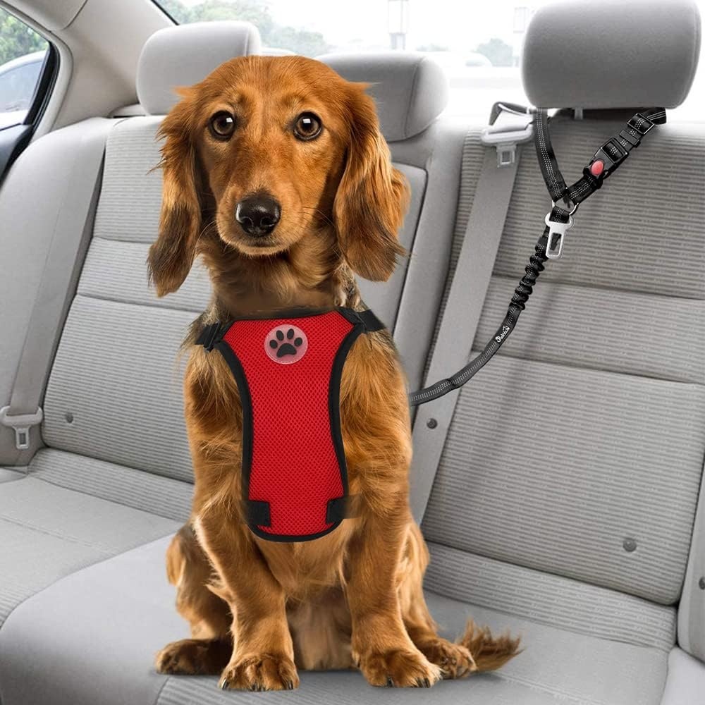 image:imageSlowTon Dog Seat Belt for Car 2 Pack Dog Car Harness Seatbelt Adjustable with Elastic Bungee Buffer 2 in 1 Pet Car Leash Headrest Restraint Dog Reflective Safety Tether Green HeadrestClipABlack