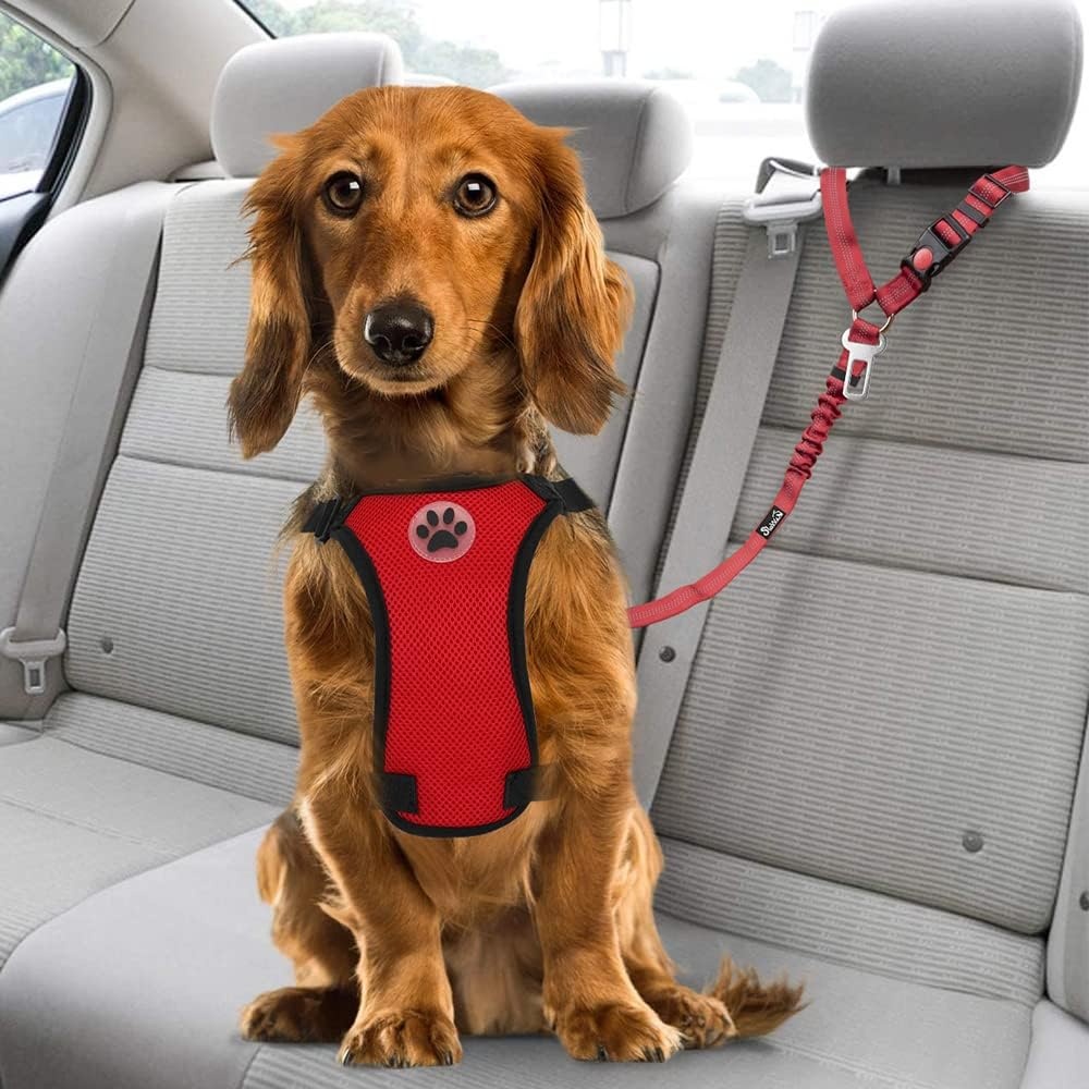 image:imageSlowTon Dog Seat Belt for Car 2 Pack Dog Car Harness Seatbelt Adjustable with Elastic Bungee Buffer 2 in 1 Pet Car Leash Headrest Restraint Dog Reflective Safety Tether Green HeadrestClipCRed