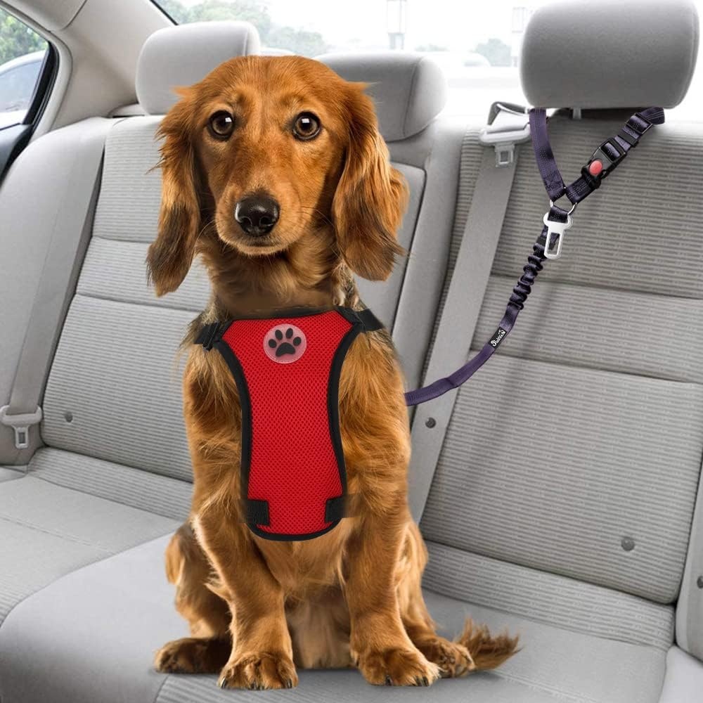 image:imageSlowTon Dog Seat Belt for Car 2 Pack Dog Car Harness Seatbelt Adjustable with Elastic Bungee Buffer 2 in 1 Pet Car Leash Headrest Restraint Dog Reflective Safety Tether Green HeadrestClipJPurple