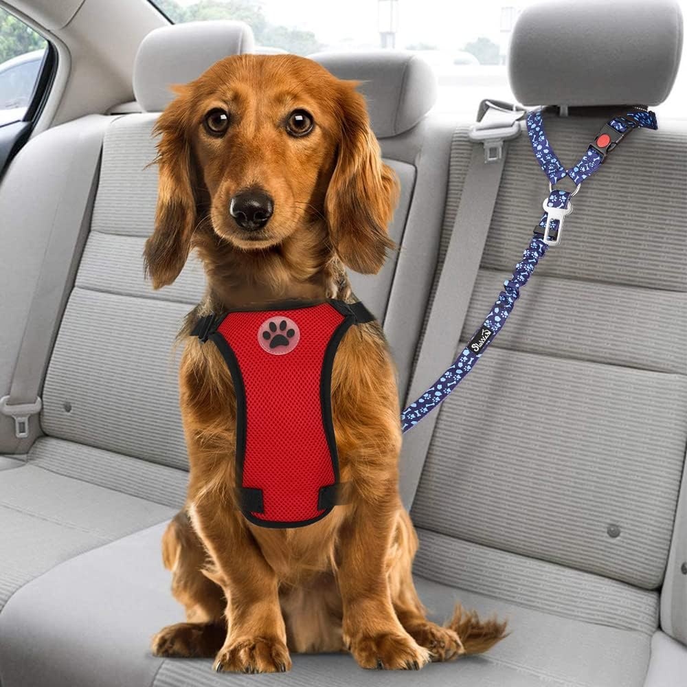 image:imageSlowTon Dog Seat Belt for Car 2 Pack Dog Car Harness Seatbelt Adjustable with Elastic Bungee Buffer 2 in 1 Pet Car Leash Headrest Restraint Dog Reflective Safety Tether Green HeadrestClipBBlue Paw
