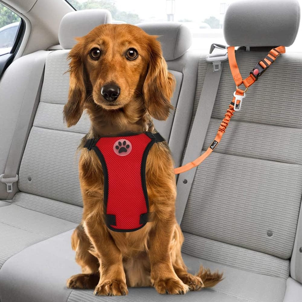 image:imageSlowTon Dog Seat Belt for Car 2 Pack Dog Car Harness Seatbelt Adjustable with Elastic Bungee Buffer 2 in 1 Pet Car Leash Headrest Restraint Dog Reflective Safety Tether Green HeadrestClipEOrange