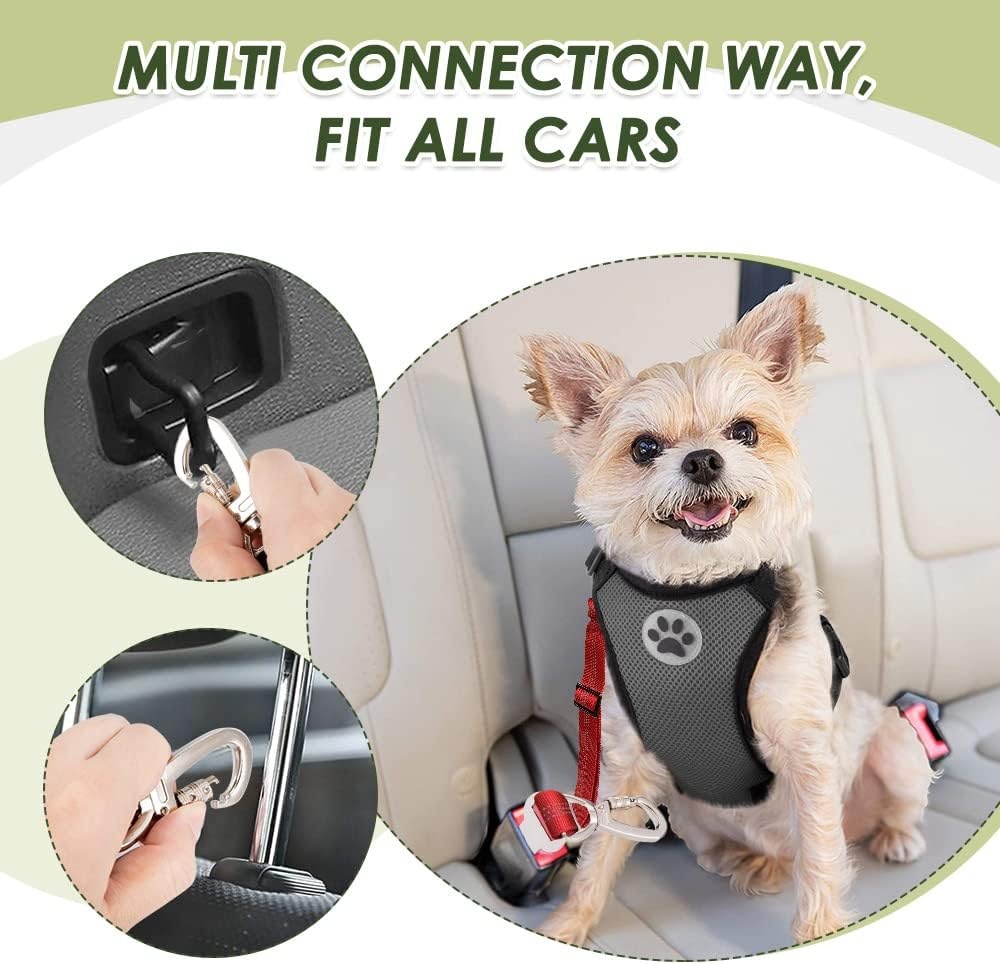 image:imageSlowTon Dog Seatbelt 2 Pack Dog Seat Belt Car Leash Adjustable Elastic Bungee Buffer Heavy Duty Nylon Reflective Pet Safety Tether Connect to Dog Harness for Travel Riding in Vehicle Daul Clip BLRed