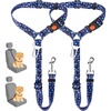 B.Blue Paw
