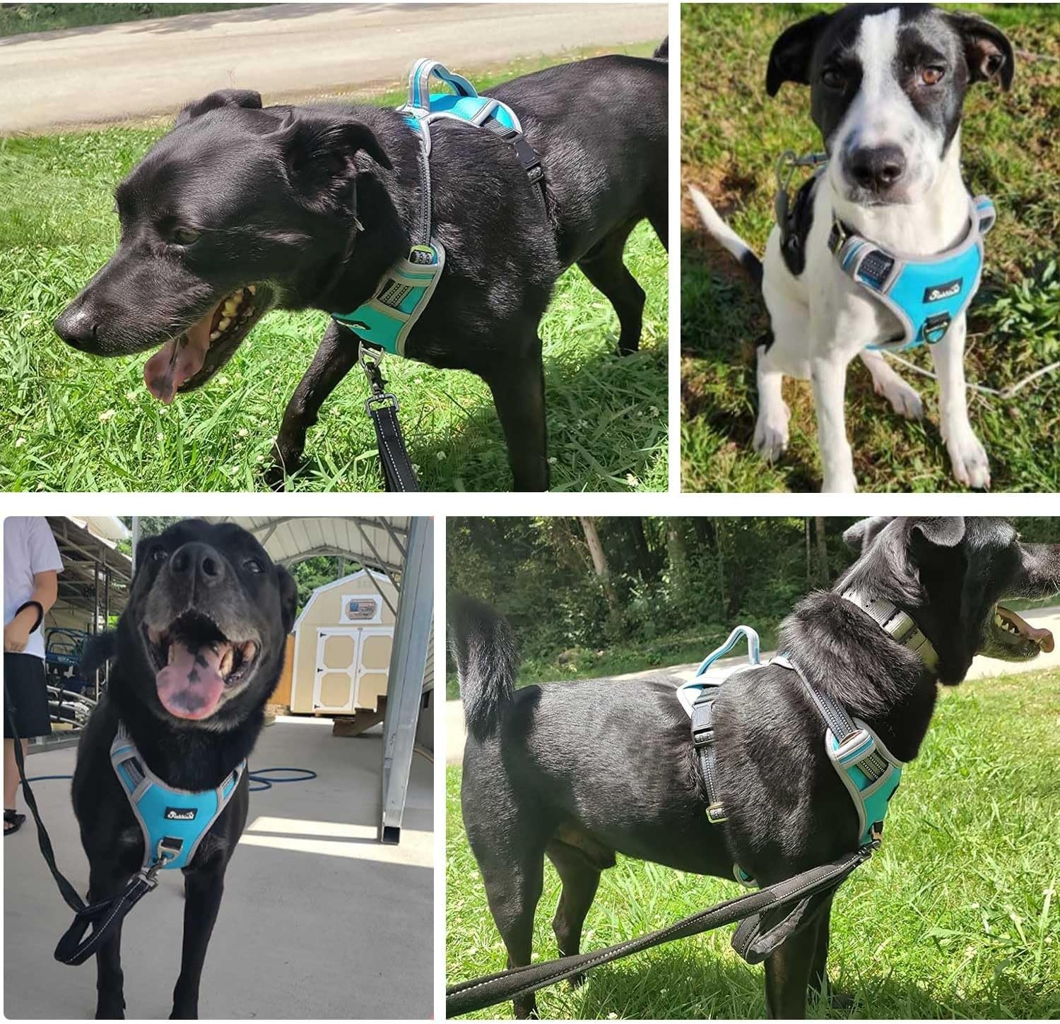 image:imageSlowTon No Pull Dog Harness Heavy Duty No Choke Pet Harness with 2 Leash Clips and Easy Control Vertical Handle Adjustable Soft Padded Dog Vest for Small Medium and Large DogsYellow Camo LargeFBlue