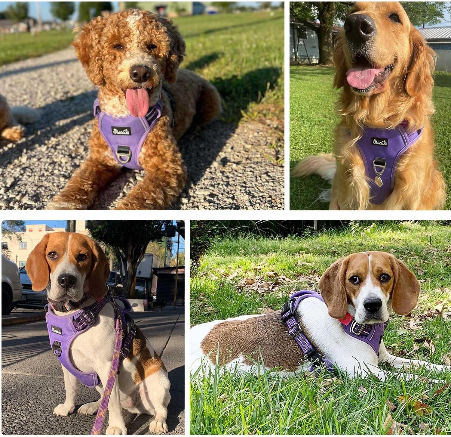 image:imageSlowTon No Pull Dog Harness Heavy Duty No Choke Pet Harness with 2 Leash Clips and Easy Control Vertical Handle Adjustable Soft Padded Dog Vest for Small Medium and Large DogsYellow Camo LargeDPurple