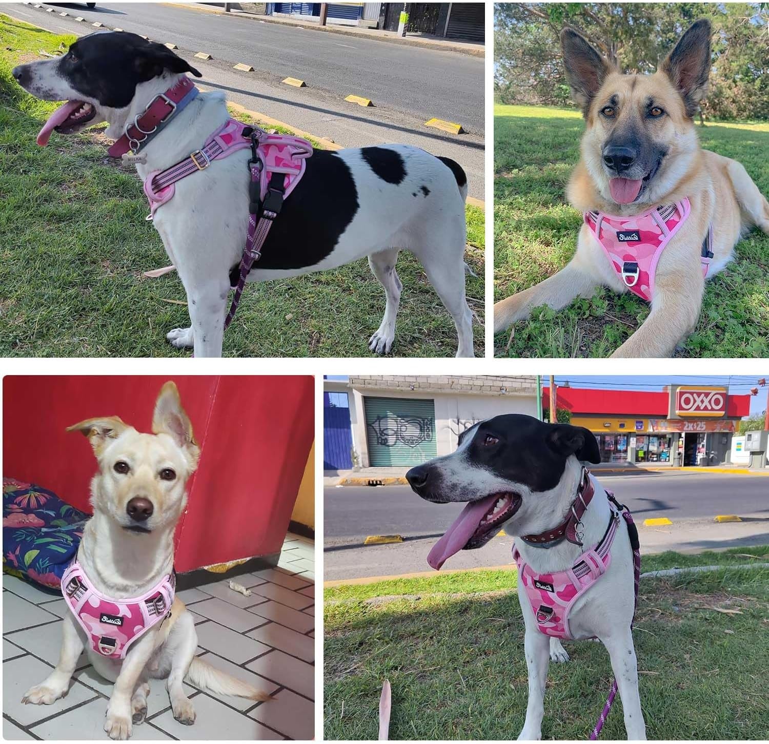 image:imageSlowTon No Pull Dog Harness Heavy Duty No Choke Pet Harness with 2 Leash Clips and Easy Control Vertical Handle Adjustable Soft Padded Dog Vest for Small Medium and Large DogsYellow Camo LargeJPink Camouflage
