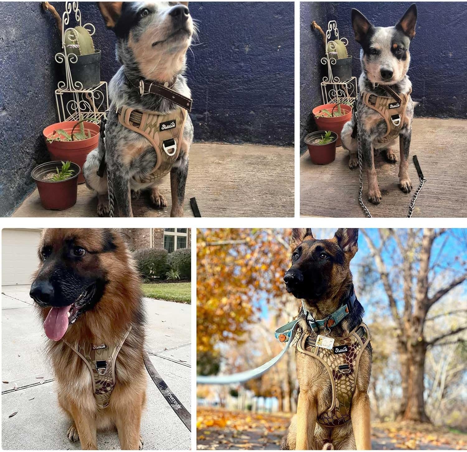 image:imageSlowTon No Pull Dog Harness Heavy Duty No Choke Pet Harness with 2 Leash Clips and Easy Control Vertical Handle Adjustable Soft Padded Dog Vest for Small Medium and Large DogsYellow Camo LargeIYellow Camouflage