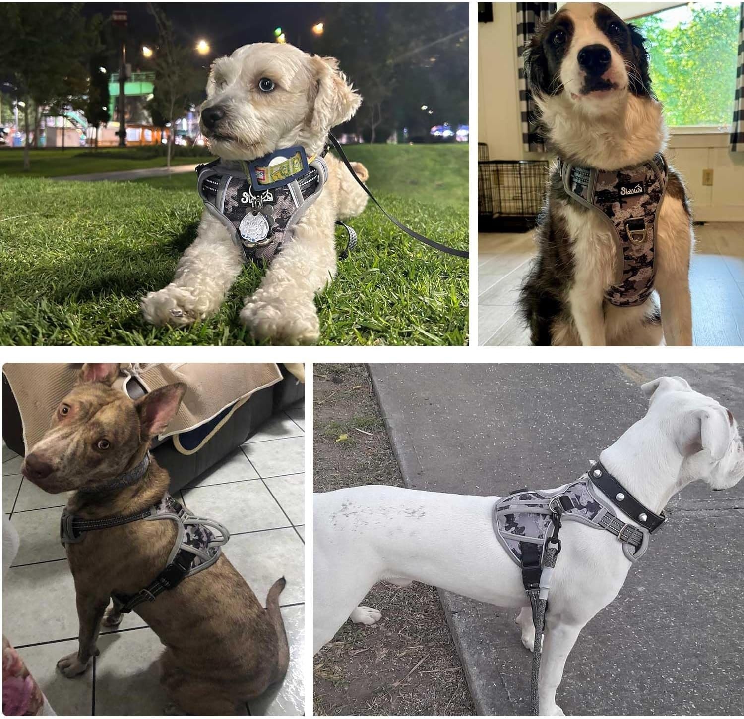 image:imageSlowTon No Pull Dog Harness Heavy Duty No Choke Pet Harness with 2 Leash Clips and Easy Control Vertical Handle Adjustable Soft Padded Dog Vest for Small Medium and Large DogsYellow Camo LargeGGray Camouflage