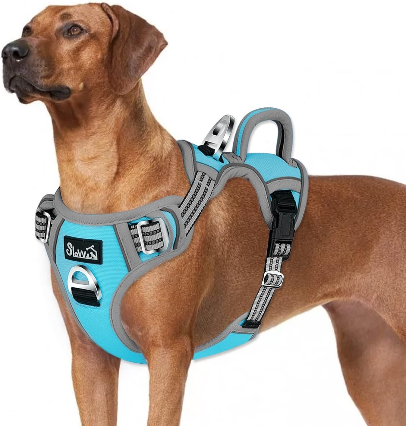 image:imageSlowTon No Pull Dog Harness Heavy Duty No Choke Pet Harness with 2 Leash Clips and Easy Control Vertical Handle Adjustable Soft Padded Dog Vest for Small Medium and Large DogsYellow Camo LargeFBlue