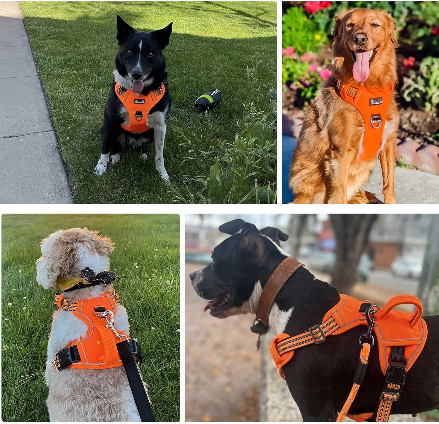 image:imageSlowTon No Pull Dog Harness Heavy Duty No Choke Pet Harness with 2 Leash Clips and Easy Control Vertical Handle Adjustable Soft Padded Dog Vest for Small Medium and Large DogsYellow Camo LargeBOrange