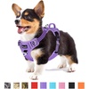 D-Purple