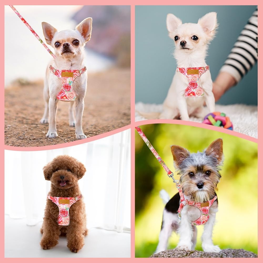 image:imageSlowTon Dog Harness Small Sized Dog Soft XXS Dog Harness and Leash Set No Pull No Chock Adjustable Lightweight Puppy Harness for XS Small Medium Dogs Cats Purple Dasiy XXSPink Rose