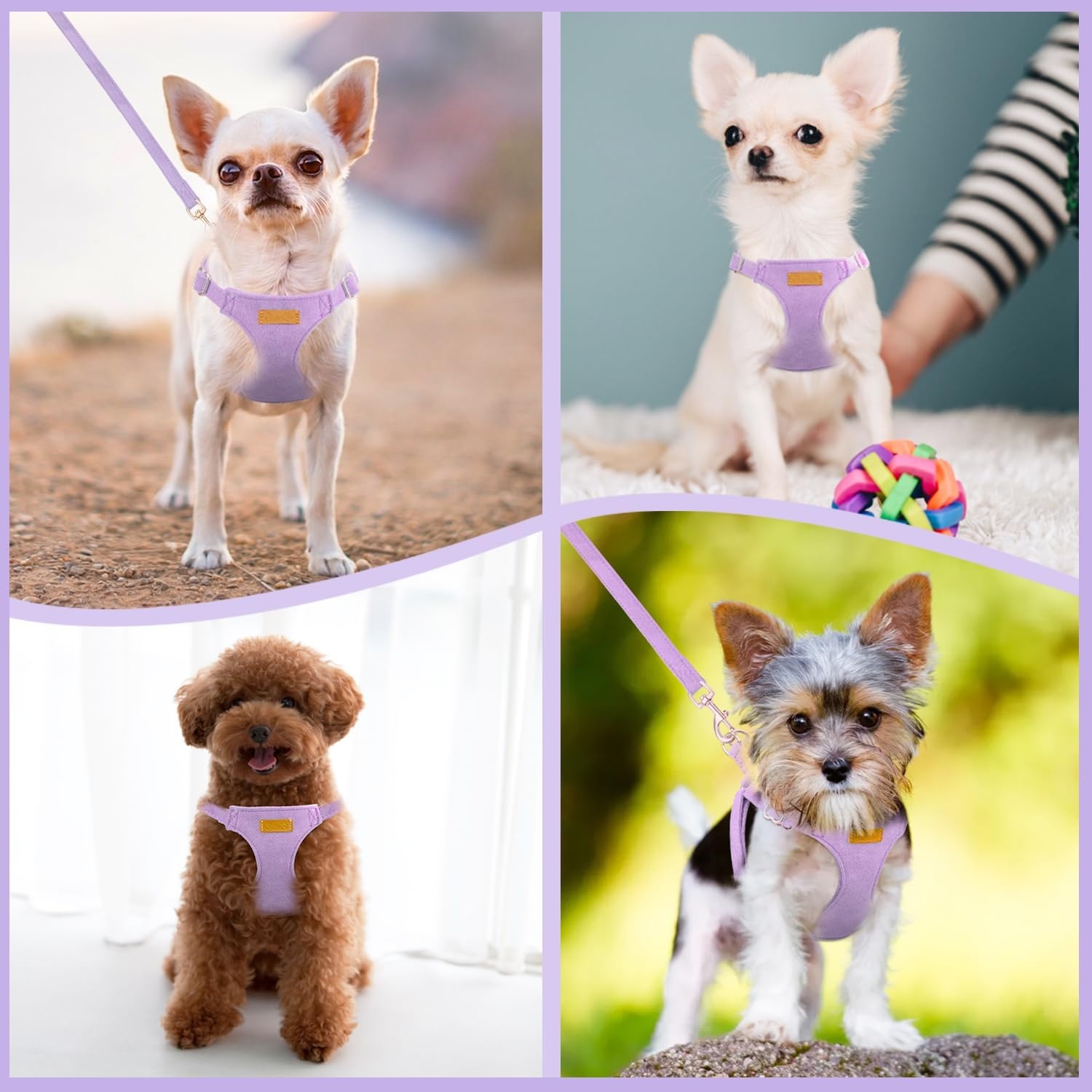 image:imageSlowTon Dog Harness Small Sized Dog Soft XXS Dog Harness and Leash Set No Pull No Chock Adjustable Lightweight Puppy Harness for XS Small Medium Dogs Cats Purple Dasiy XXSSolid Purple
