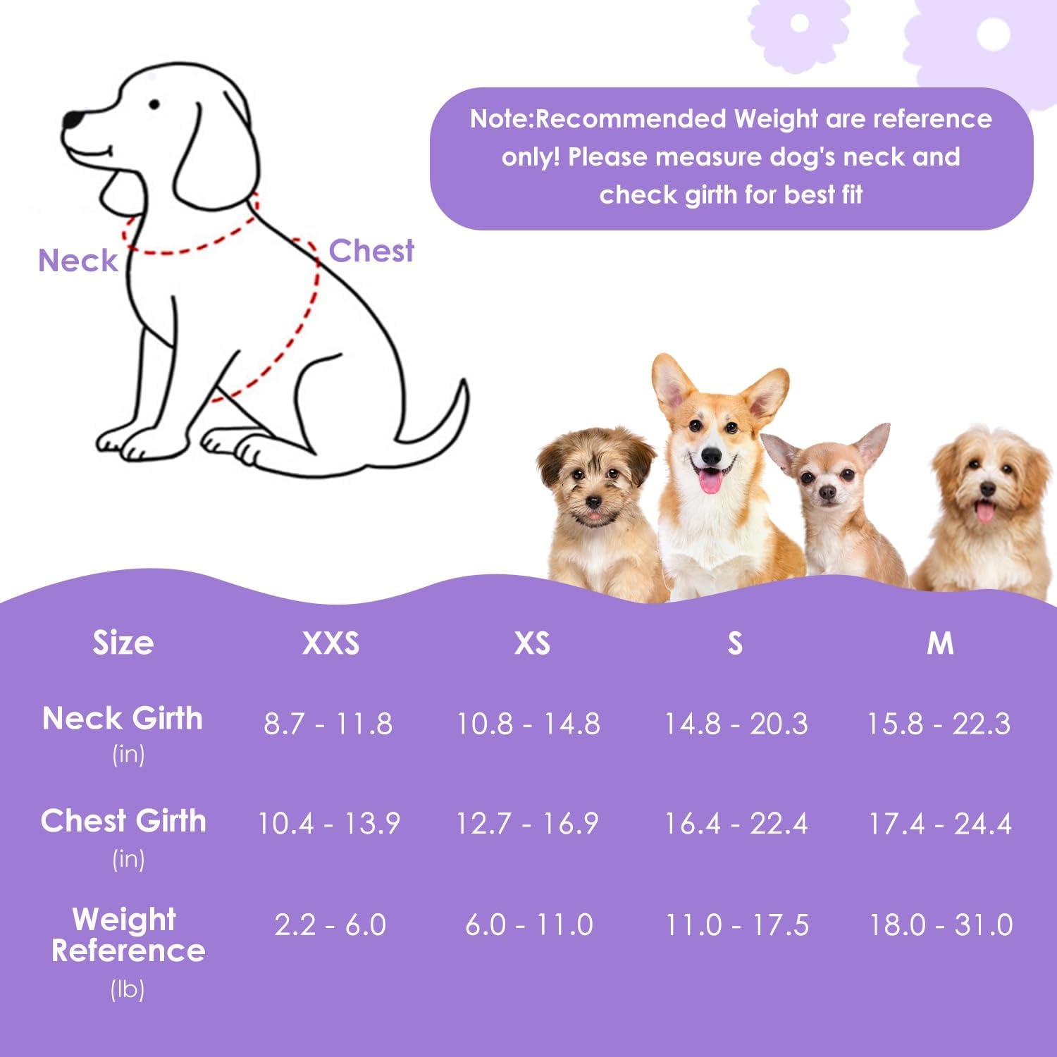 image:imageSlowTon Dog Harness Small Sized Dog Soft XXS Dog Harness and Leash Set No Pull No Chock Adjustable Lightweight Puppy Harness for XS Small Medium Dogs Cats Purple Dasiy XXSSolid Purple