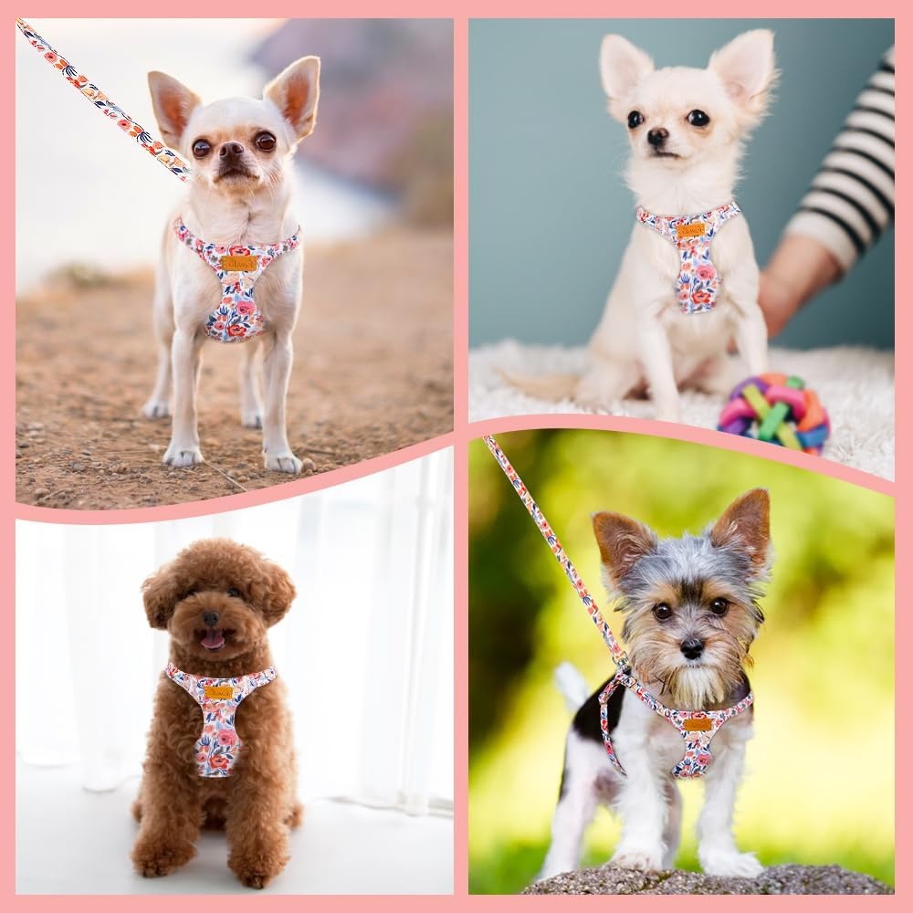 image:imageSlowTon Dog Harness Small Sized Dog Soft XXS Dog Harness and Leash Set No Pull No Chock Adjustable Lightweight Puppy Harness for XS Small Medium Dogs Cats Purple Dasiy XXSFlower