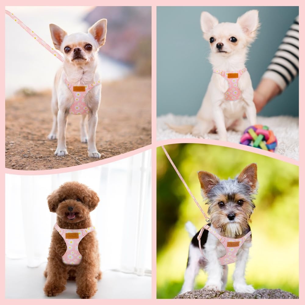 image:imageSlowTon Dog Harness Small Sized Dog Soft XXS Dog Harness and Leash Set No Pull No Chock Adjustable Lightweight Puppy Harness for XS Small Medium Dogs Cats Purple Dasiy XXSPink Daisy