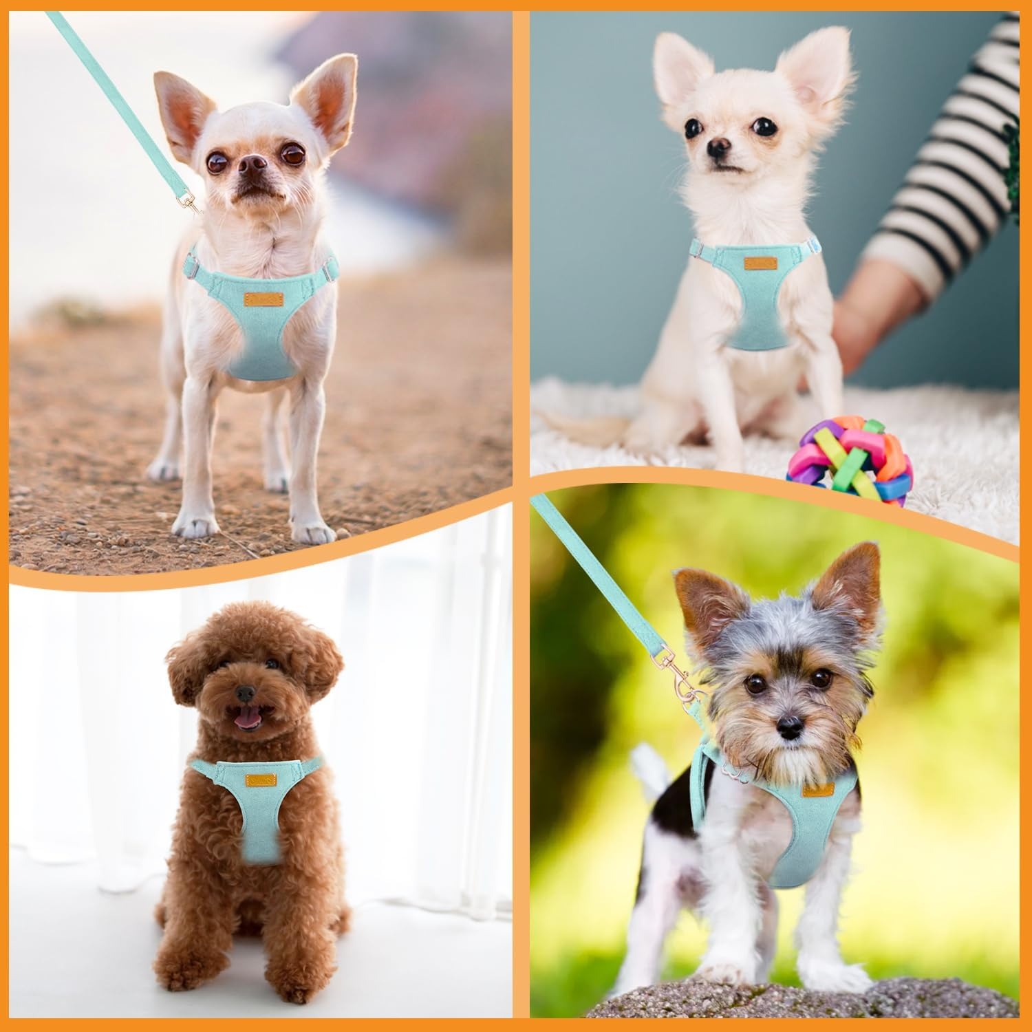 image:imageSlowTon Dog Harness Small Sized Dog Soft XXS Dog Harness and Leash Set No Pull No Chock Adjustable Lightweight Puppy Harness for XS Small Medium Dogs Cats Purple Dasiy XXSSolid Teal