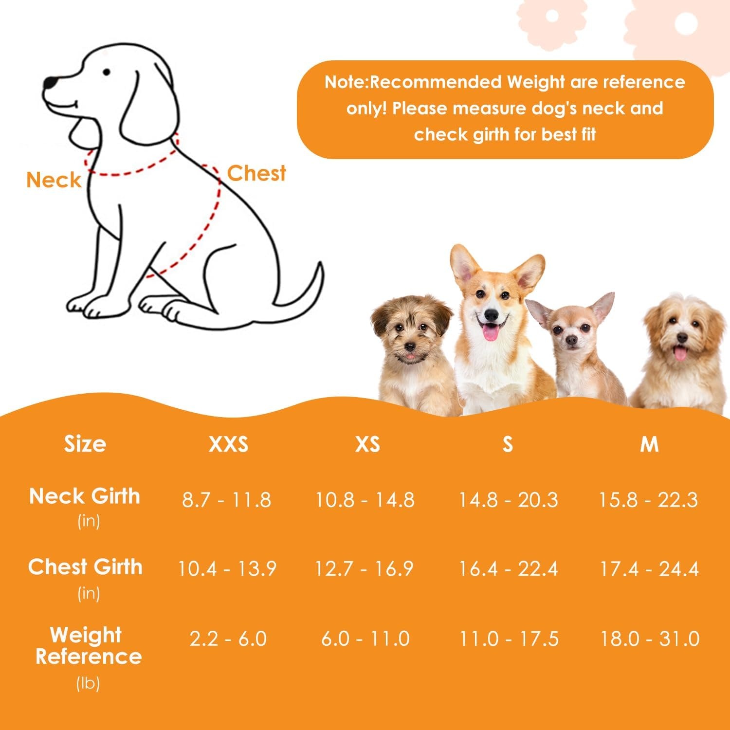 image:imageSlowTon Dog Harness Small Sized Dog Soft XXS Dog Harness and Leash Set No Pull No Chock Adjustable Lightweight Puppy Harness for XS Small Medium Dogs Cats Purple Dasiy XXSSolid Black