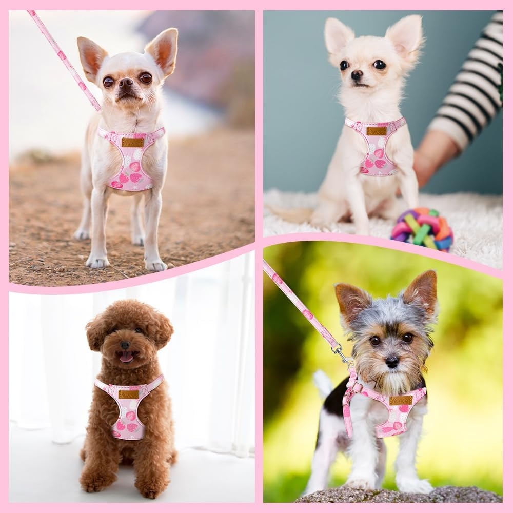 image:imageSlowTon Dog Harness Small Sized Dog Soft XXS Dog Harness and Leash Set No Pull No Chock Adjustable Lightweight Puppy Harness for XS Small Medium Dogs Cats Purple Dasiy XXSPink Strawberry