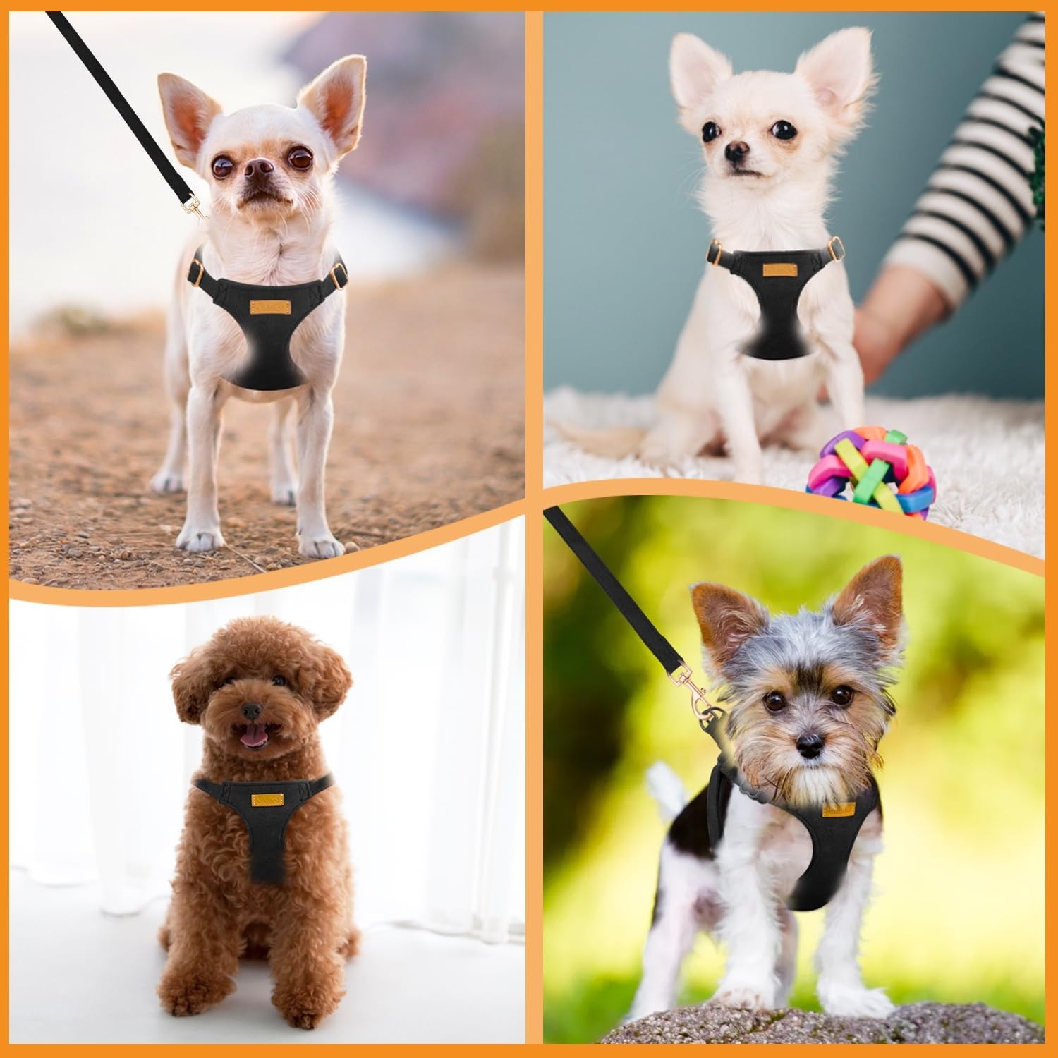 image:imageSlowTon Dog Harness Small Sized Dog Soft XXS Dog Harness and Leash Set No Pull No Chock Adjustable Lightweight Puppy Harness for XS Small Medium Dogs Cats Purple Dasiy XXSSolid Black