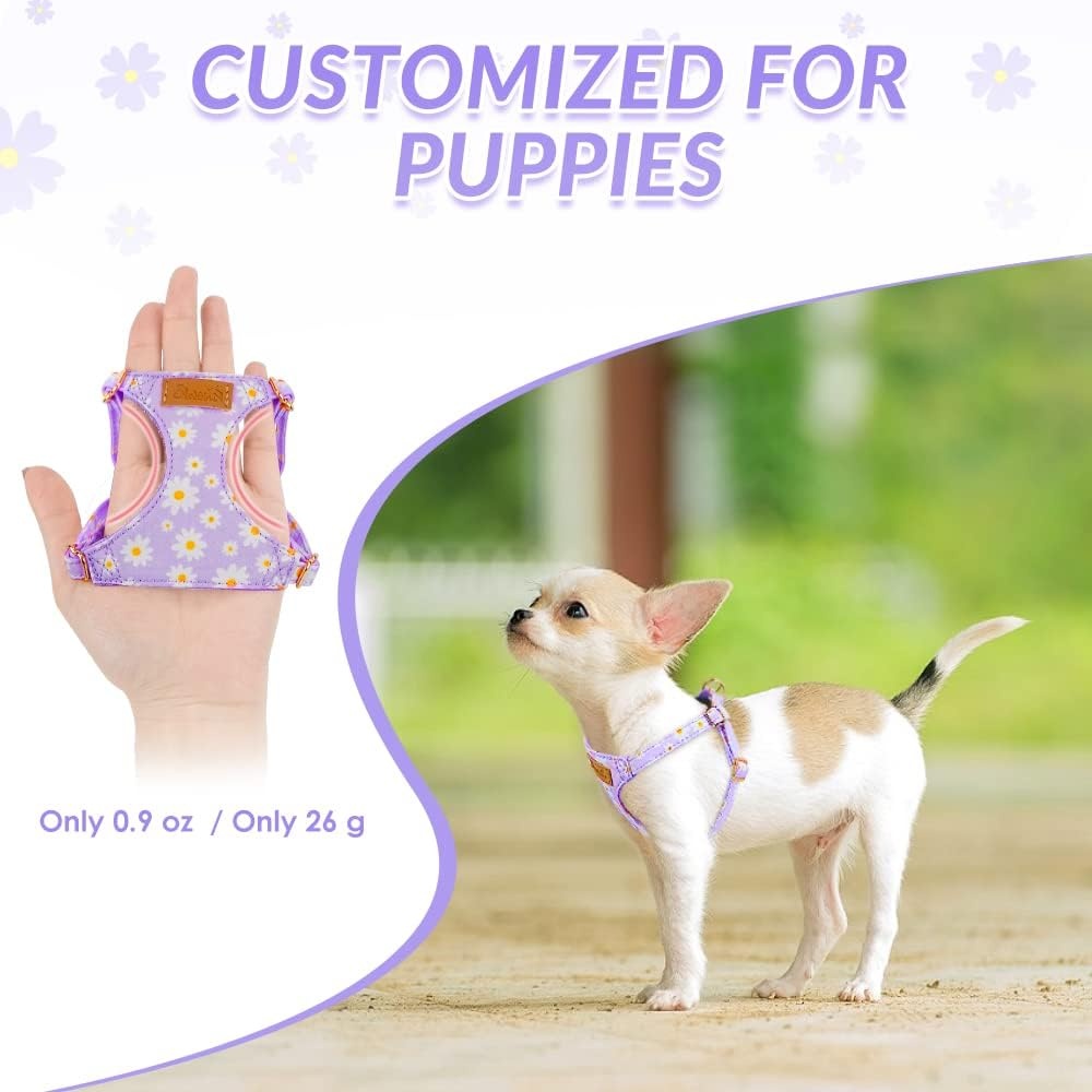 image:imageSlowTon Dog Harness Small Sized Dog Soft XXS Dog Harness and Leash Set No Pull No Chock Adjustable Lightweight Puppy Harness for XS Small Medium Dogs Cats Purple Dasiy XXSPurple Daisy